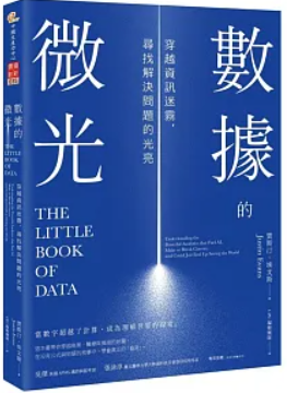 數據的微光 :穿過資訊迷霧, 尋找解決問題的光亮